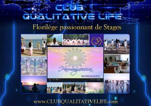 Stages - Séminaires - Workshops