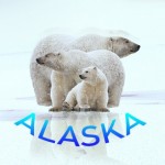 Group logo of ALASKA