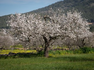 DSC_7961-2