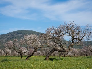 DSC_7995-2