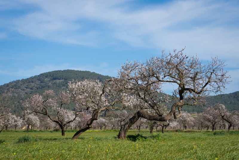 dsc_7995-2