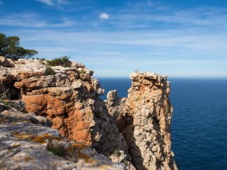 DSC_8035-2