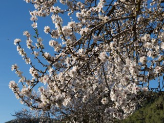 VI1_3618-2
