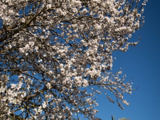 VI1_3619-2