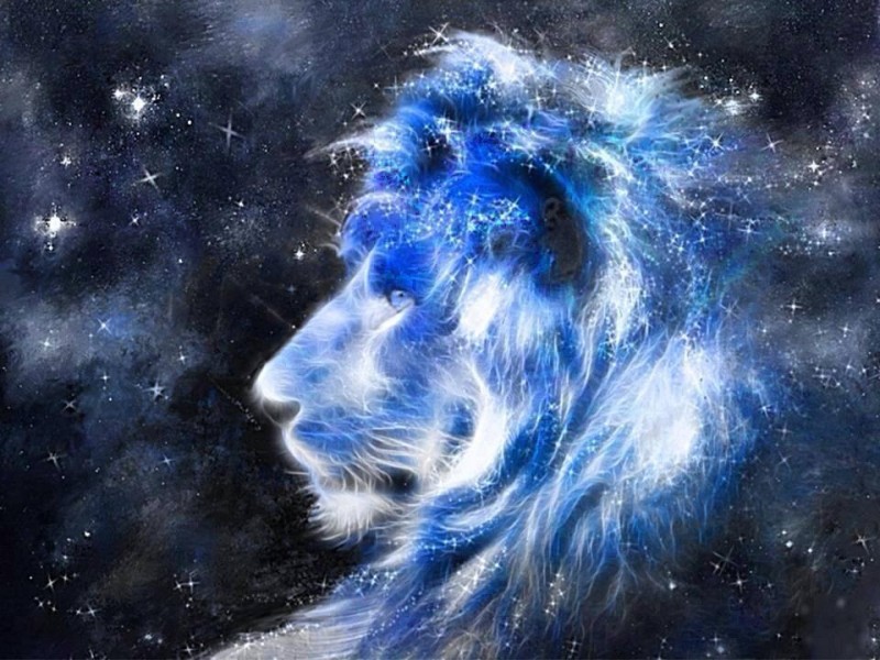 cosmic-lion