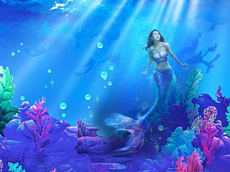 16299307_1131018003664007_7486490704797430095_n-800x600