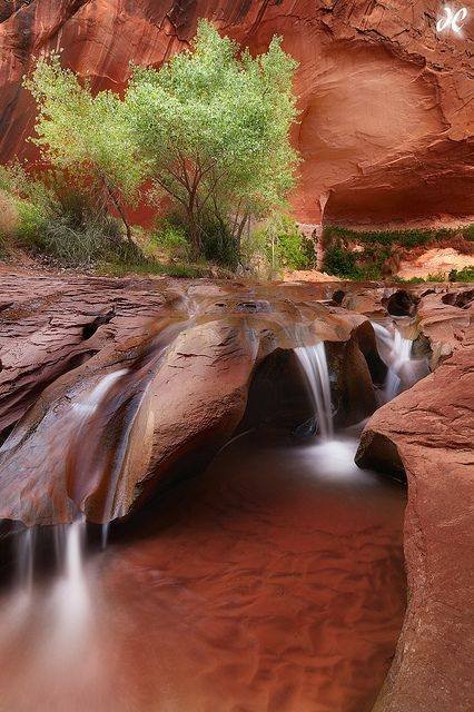 coyote-falls-in-utah-usa