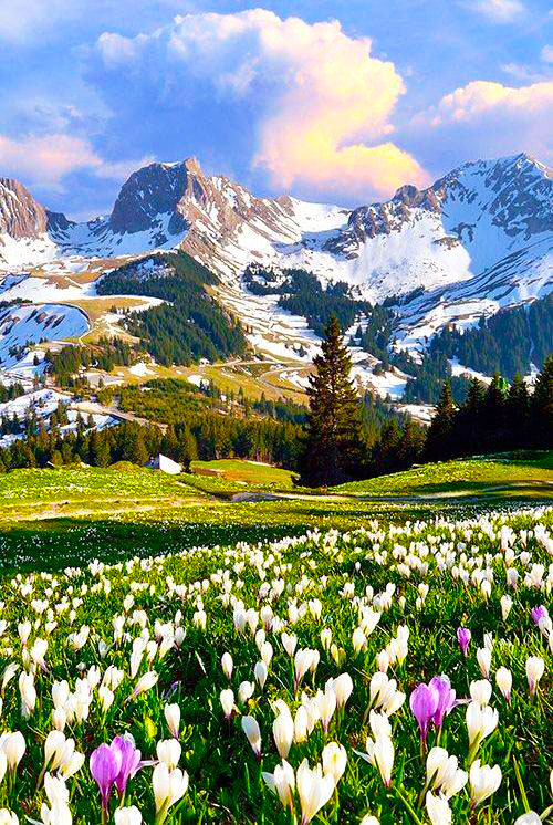 29791726_788720651326263_3305708630877104125_n