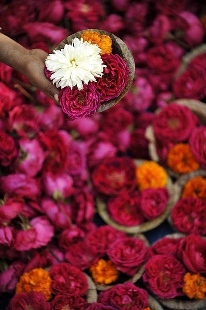 flower-for-gods-offer