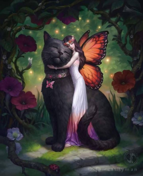 cat-fairy-hug