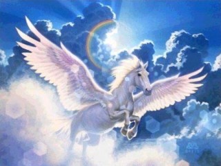 pegaso-cavallo-alato
