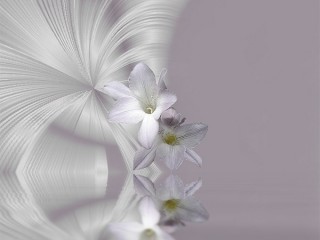 DIANE603_070106