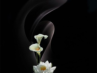 DIANE603_210106