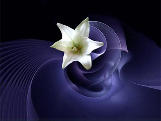 DIANE603_220106
