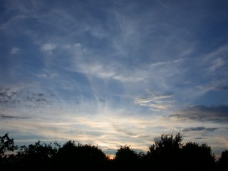 DSCN3131