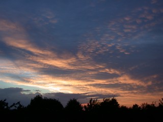 DSCN3140