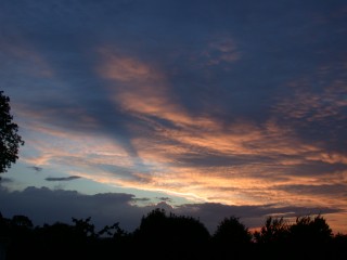 DSCN3141