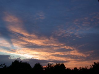 DSCN3142