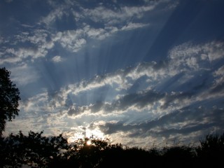DSCN3250
