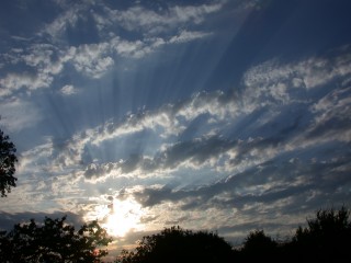 DSCN3251