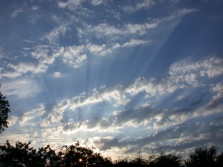 DSCN3253