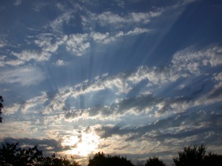 DSCN3254