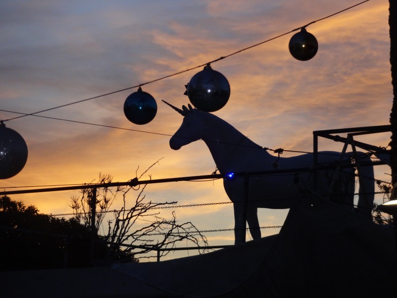 04-06-14-ca-pool-and-unicorn-6