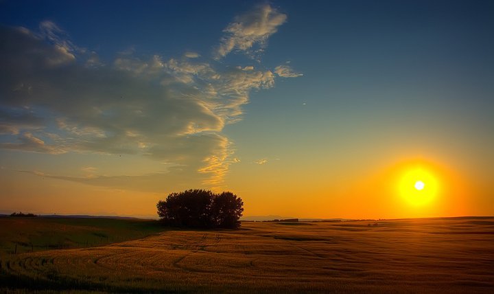 285011_216550791730800_100001276429826_712994_3737314_n-1