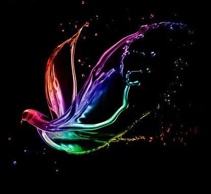 303064_2164344521253_1625829663_2135103_1550708_n-1