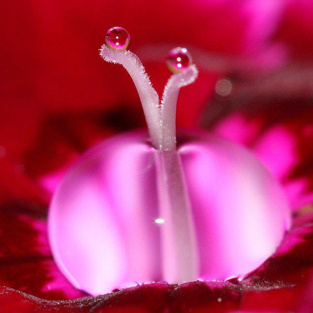 305915_253720981327545_100000689345319_861256_2023818_n