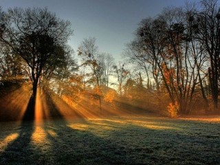 Rays on frosted field(thanks to Live Laugh Love)