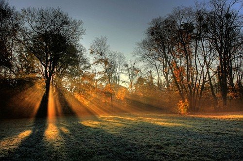 rays-on-frosted-fieldthanks-to-live-laugh-love