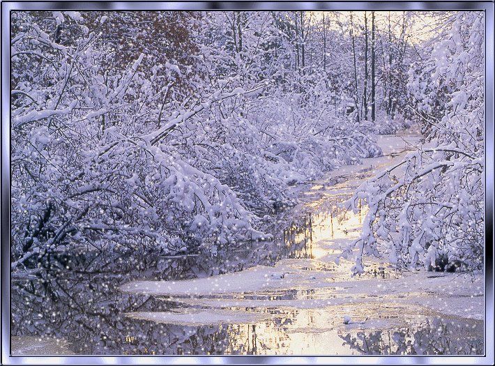 winter-thanks-to-afratius-castinelli