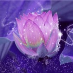 magical_lotus_flower_by_katitijani