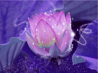 magical_lotus_flower_by_katitijani