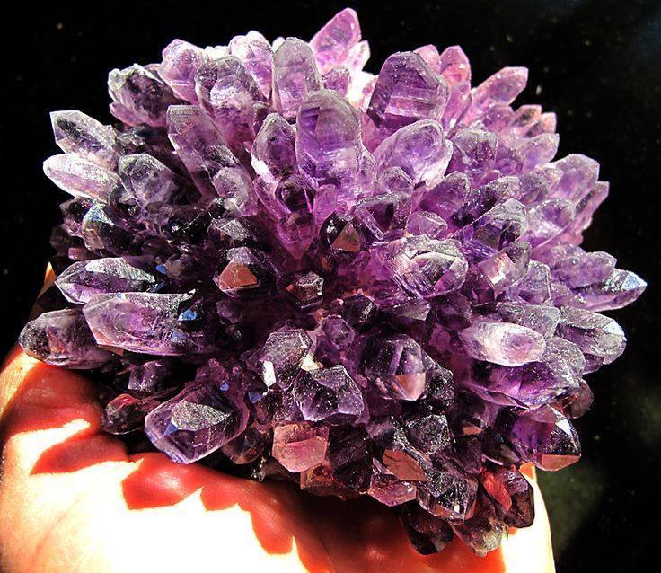 amethyst-flower