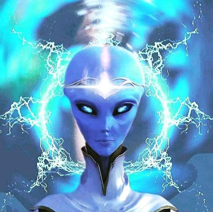 271841081_325974599425703_912710929481669492_n