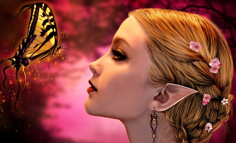elfepapillon