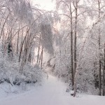 entree-de-cour-a-daniel-en-hiver