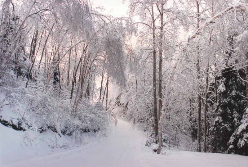 entree-de-cour-a-daniel-en-hiver