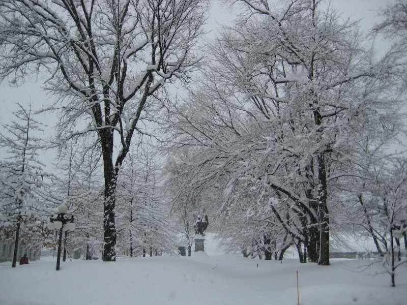 hiver-dans-le-vieux-qc