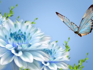 00597d6c3595651f5d4545268cdaf993