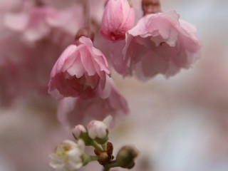 120998b7cb1ba7a2d8cdd667a6b8ffaa_large