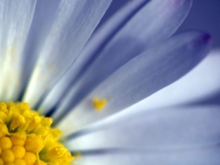 122_size_1366x768_wallpaper-324382