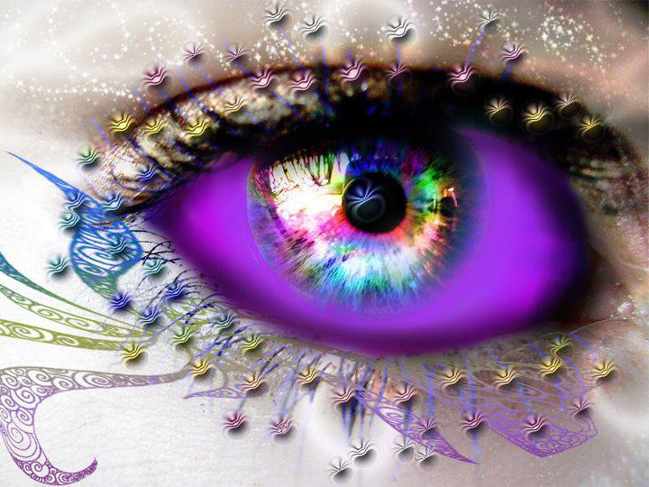 319531_255758134469818_100001069015325_654858_1496549956_n