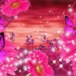 69247936-beautiful-sparkle-wallpapers