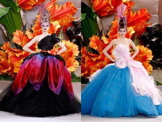 DIOR1