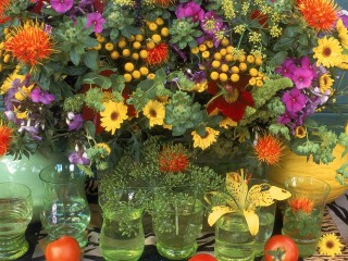 Garden Variety