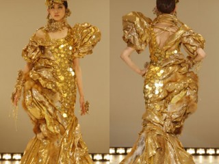 australiangoldcoindress