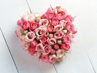 cuore